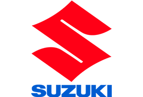 logo 21